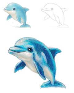 איך מציירים דולפים ב3 שלבים פשוטים בלבד