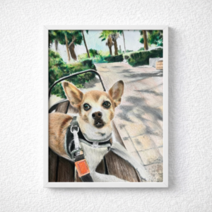 ציור(צבעוני) ממוסגר של חיית המחמד